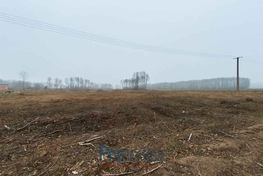 Działka budowlana Opaleniec. Zdjęcie 6