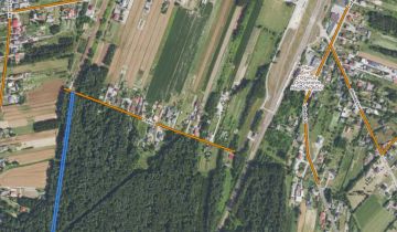 Działka leśna Brzozówka-Kolonia