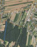 Działka leśna Brzozówka-Kolonia. Zdjęcie 1