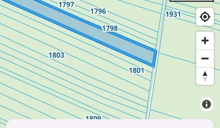Działka leśna Wilcza Wola Sudoły