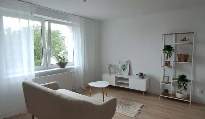 Mieszkanie 1-pokojowe Działdowo, ul. Marii Skłodowskiej-Curie