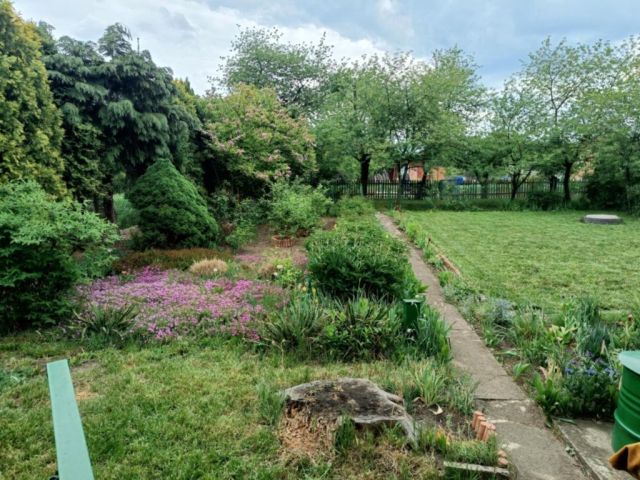 Działka rod Mielec. Zdjęcie 1