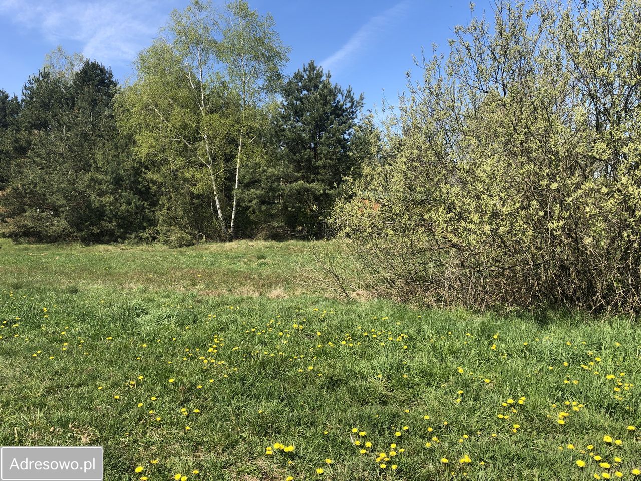 Działka budowlana Jasionka, ul. Skośna. Zdjęcie 4