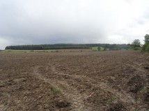 Działka budowlana Słup. Zdjęcie 2