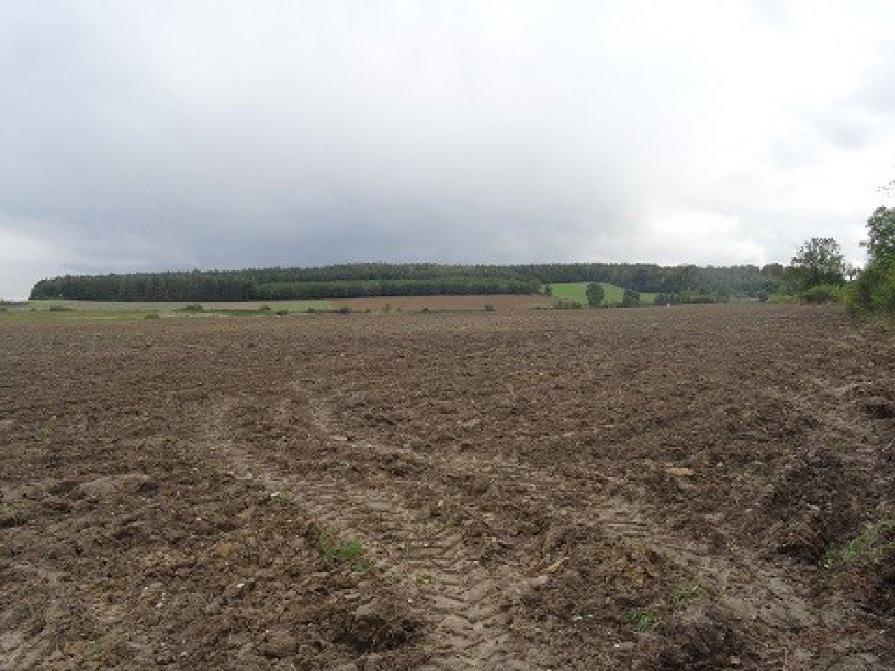 Działka budowlana Słup. Zdjęcie 3