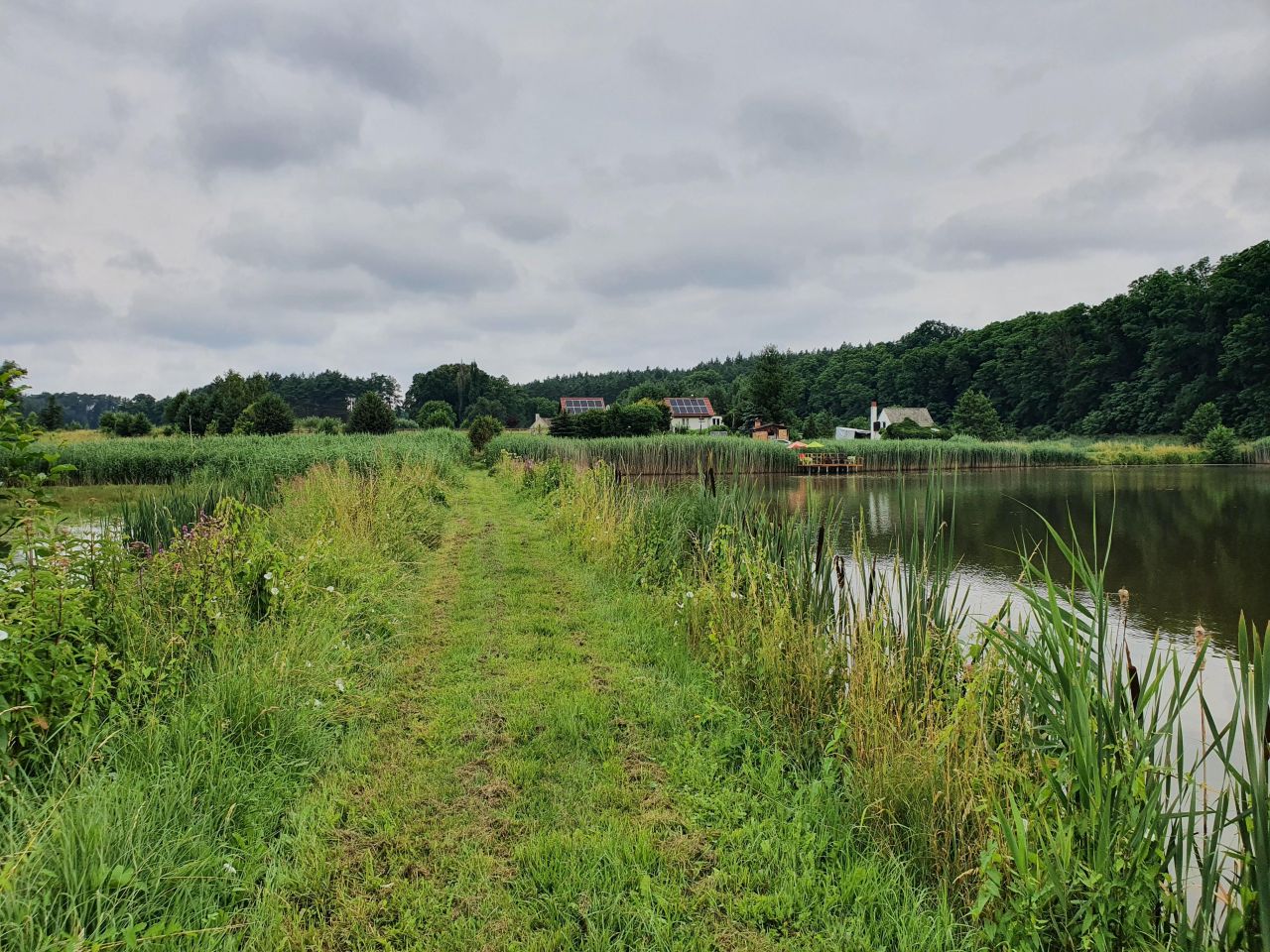 Działka rolna Bledzew Tymiana, ul. Tymiany. Zdjęcie 40
