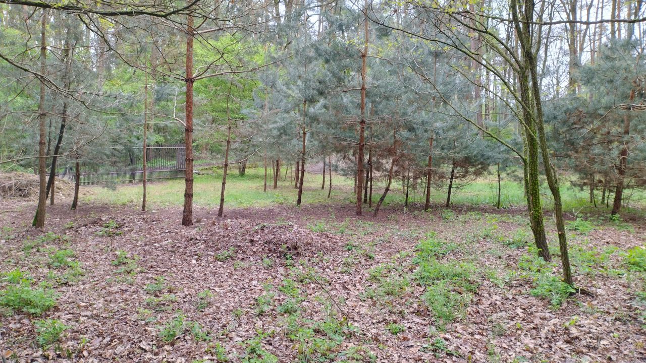 Działka budowlana Zofiówka, ul. Cmentarna. Zdjęcie 4