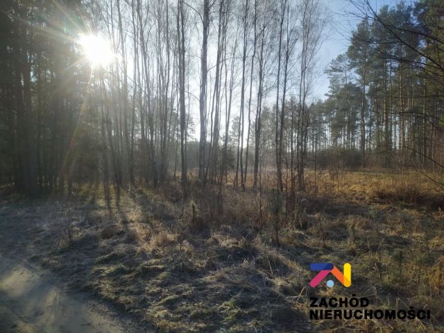 Działka budowlana Radomia. Zdjęcie 3