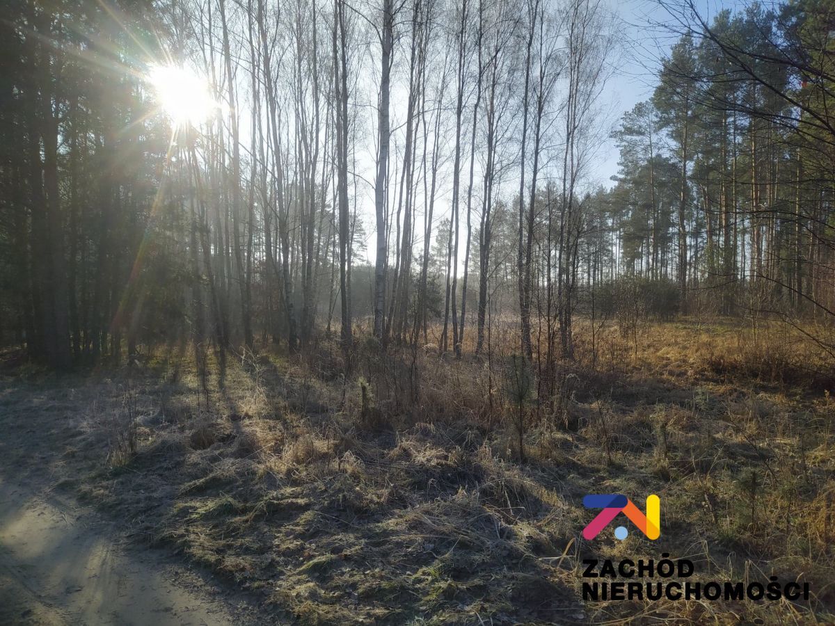 Działka budowlana Radomia. Zdjęcie 3