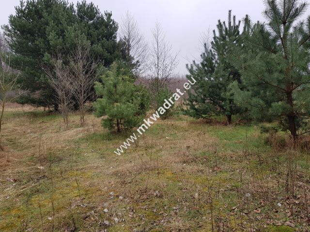 Działka budowlana Marynin. Zdjęcie 4