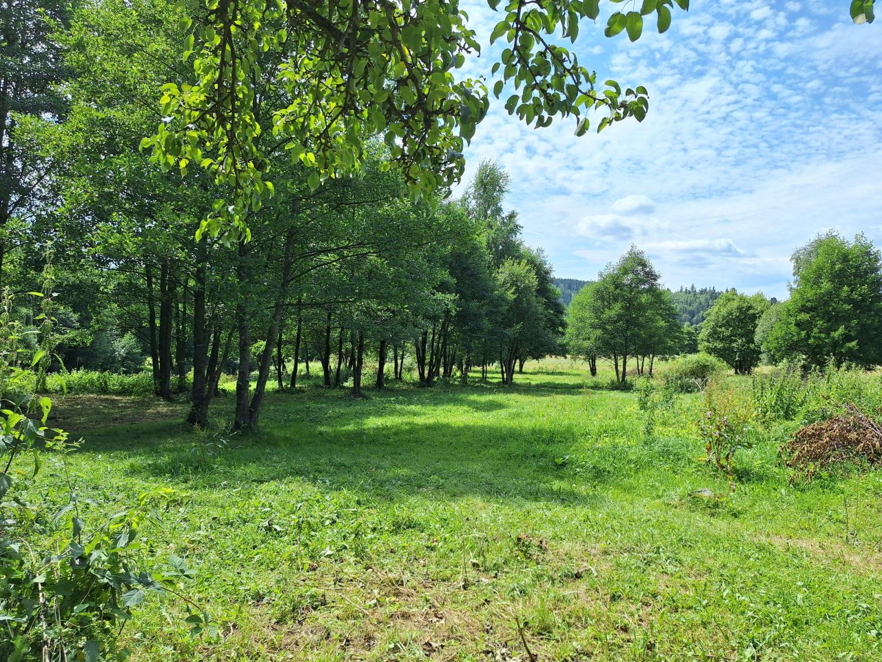 Działka rolno-budowlana Potoczek. Zdjęcie 4