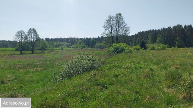 Działka rolno-budowlana Dąg. Zdjęcie 1