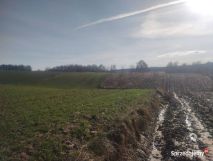 Działka rolna Prawęcin. Zdjęcie 2