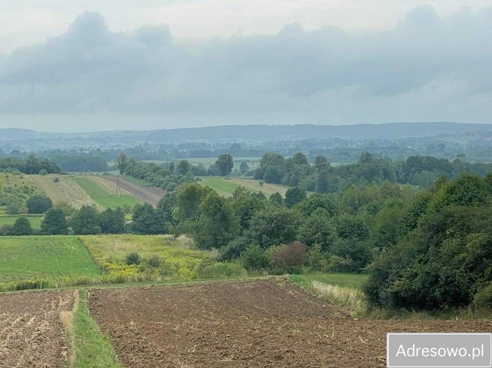 Działka rekreacyjna Bierówka. Zdjęcie 7