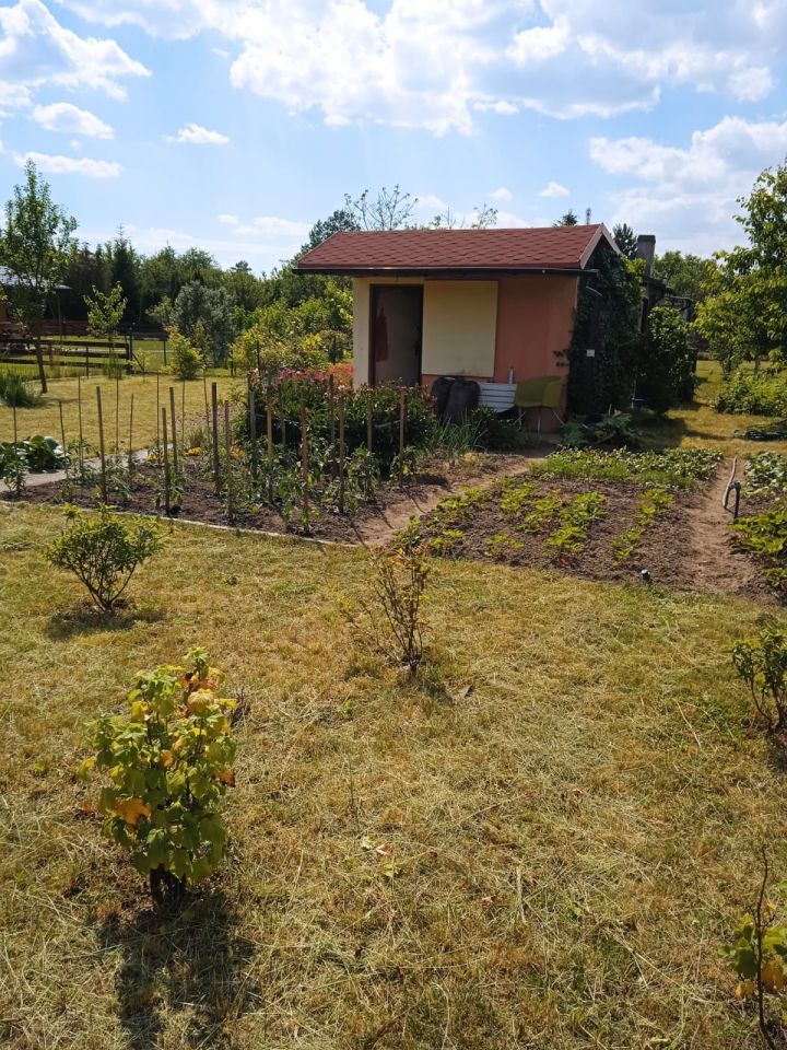 Działka rod Wrocław Krzyki, ul. Wiaduktowa. Zdjęcie 7