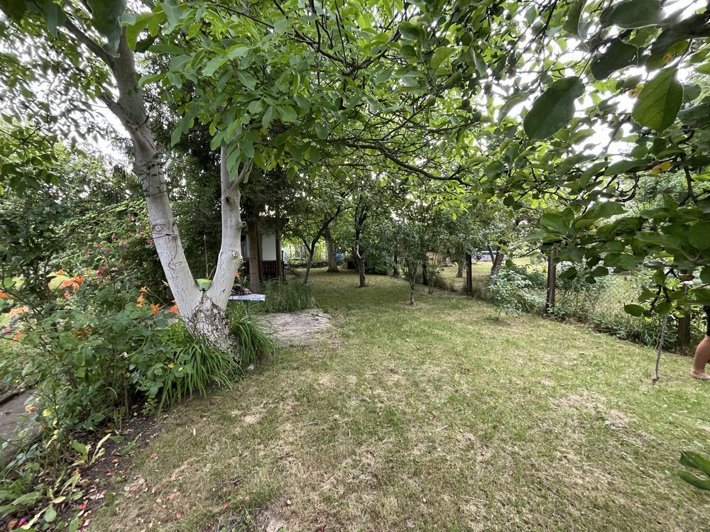 Działka rod Gliwice Sośnica, ul. Dolna. Zdjęcie 5