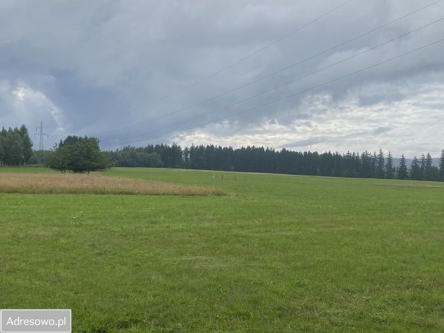 Działka budowlana Dolina. Zdjęcie 1