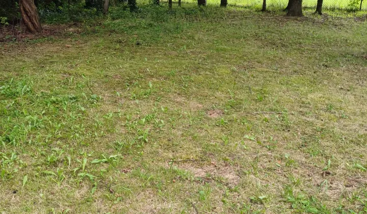 Działka budowlana Goleszów