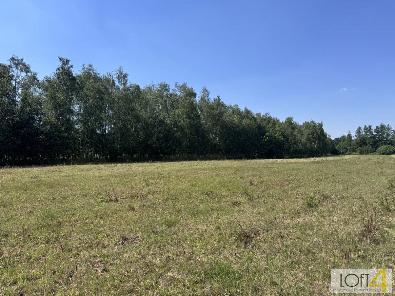 Działka rolno-budowlana Kupienin. Zdjęcie 7