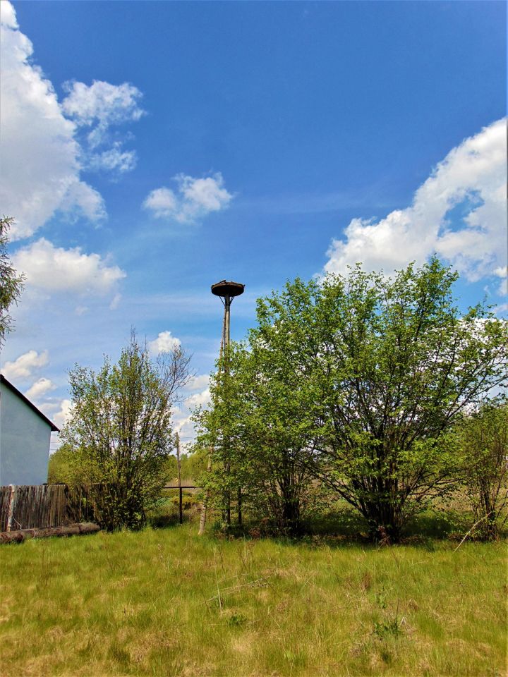 Działka inwestycyjna Kletnia, ul. Częstochowska. Zdjęcie 10