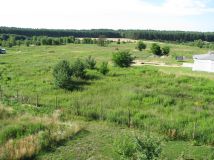 Działka rolno-budowlana Miodary, ul. Rumiankowa. Zdjęcie 4