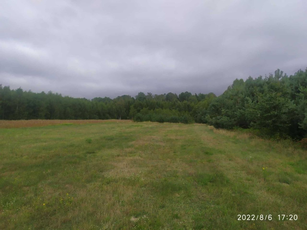 Działka budowlana Policzna. Zdjęcie 6