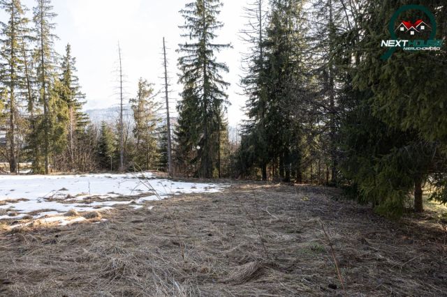 Działka inwestycyjna Kościelisko, ul. Nędzy Kubińca. Zdjęcie 7