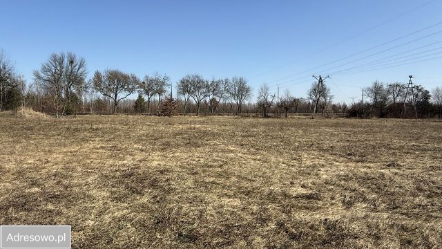 Działka budowlana Dębe. Zdjęcie 1