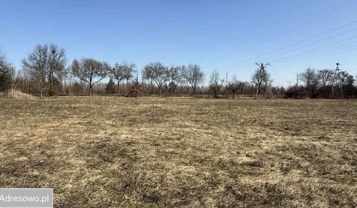 Działka budowlana Dębe