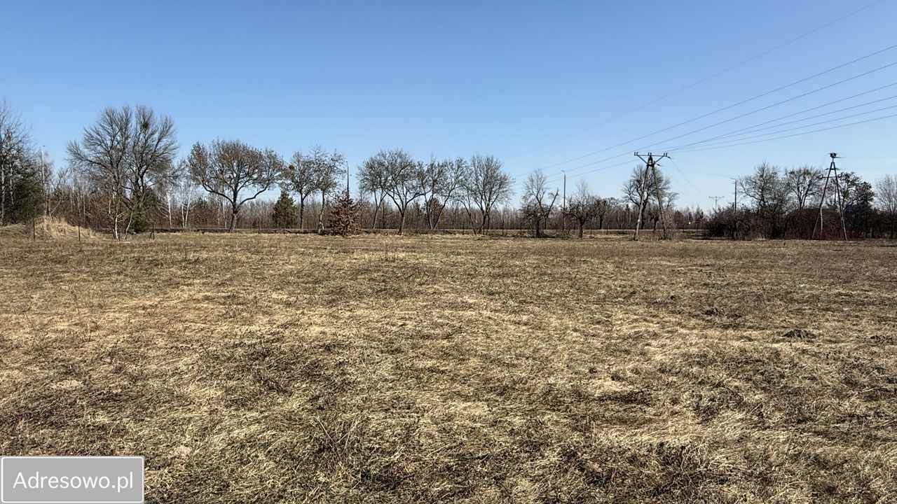 Działka budowlana Dębe. Zdjęcie 1