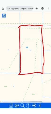 Działka rolna Aleksandrowo. Zdjęcie 1