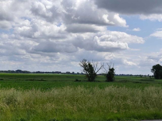 Działka inwestycyjna Buk, ul. Przemysłowa. Zdjęcie 1