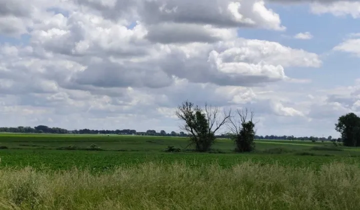 Działka inwestycyjna Buk, ul. Przemysłowa