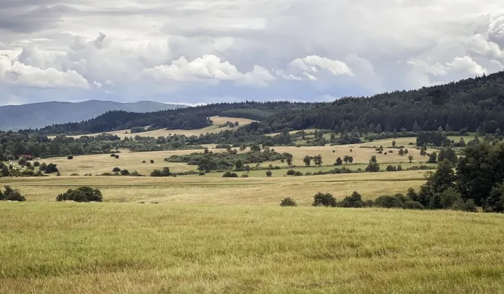 Działka budowlana Osławica