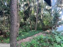 Działka leśna Łódź Feliksin, ul. Dworcowa. Zdjęcie 4