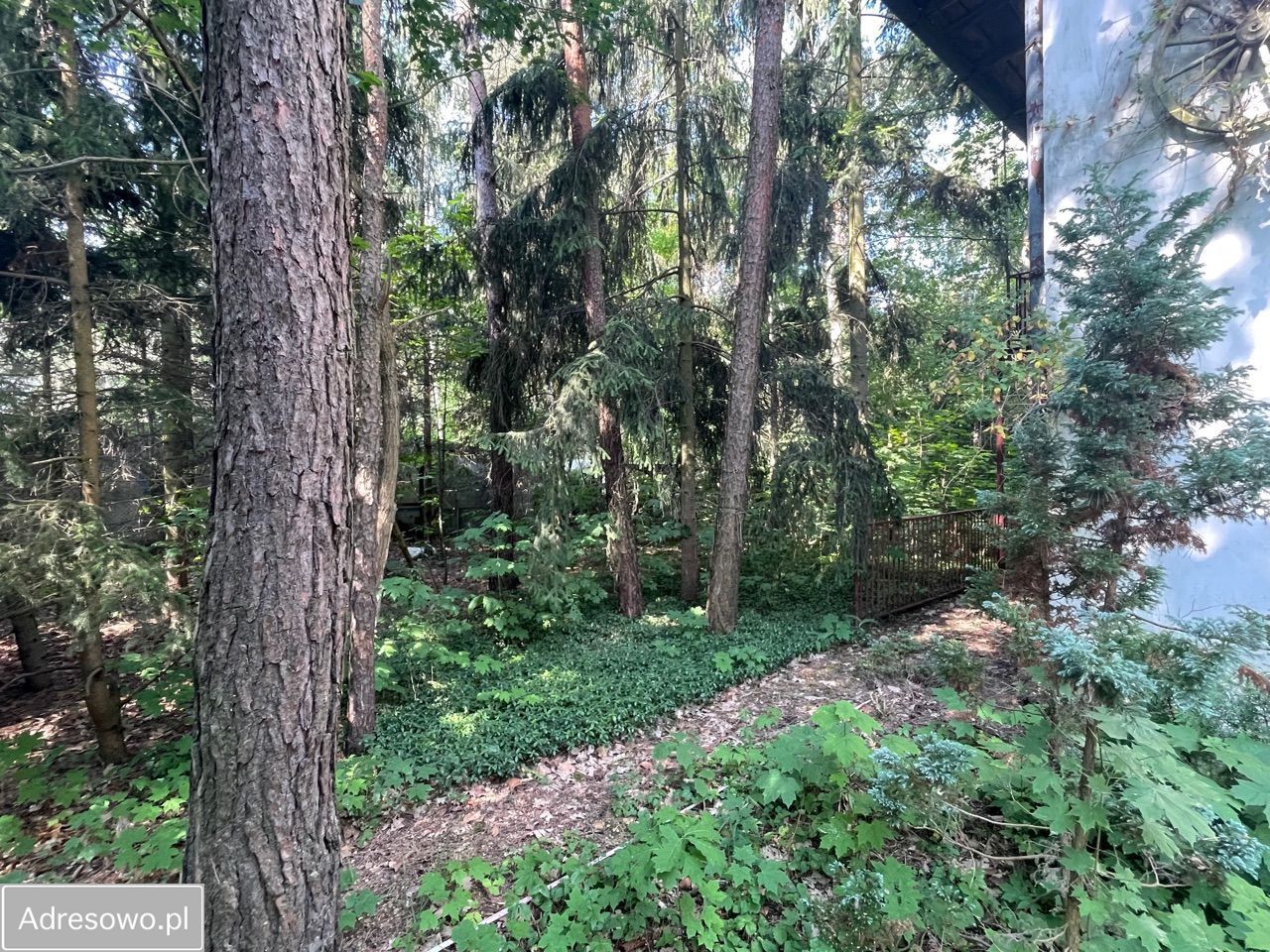 Działka leśna Łódź Feliksin, ul. Dworcowa. Zdjęcie 5