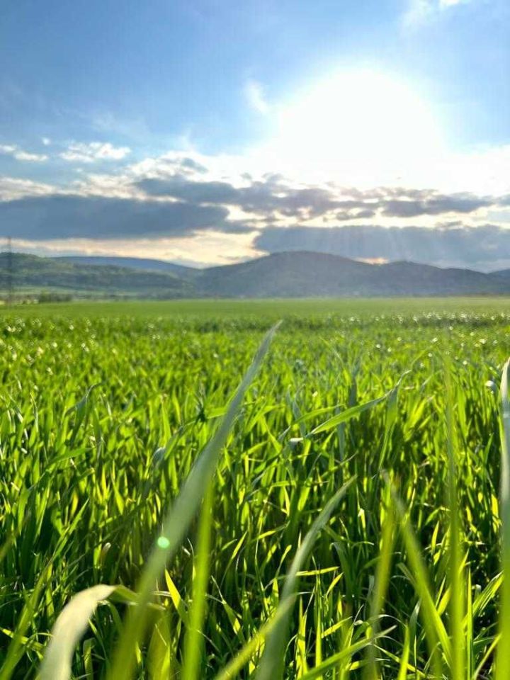 Działka rolna Świdnica. Zdjęcie 2