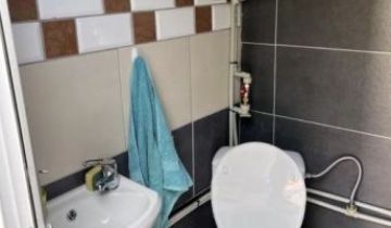 Działka rod Lubin, ul. Ścinawska