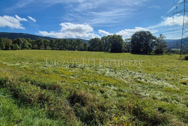 Działka inwestycyjna Kowary. Zdjęcie 12