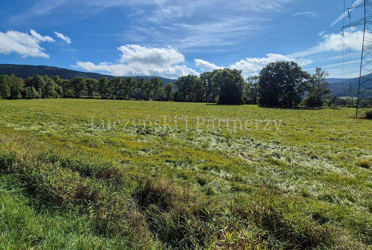Działka inwestycyjna Kowary. Zdjęcie 12