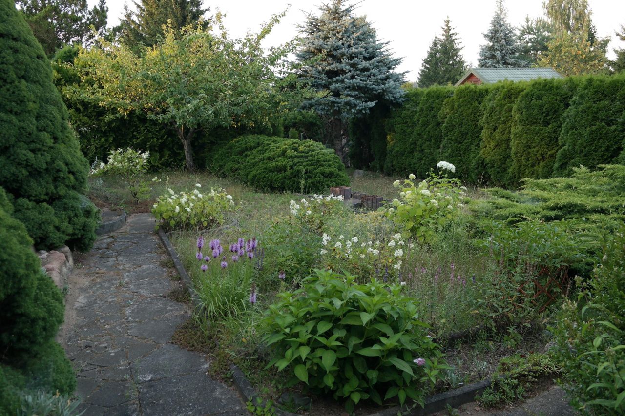 Działka rod Niewodnica Kościelna, ul. Działkowców. Zdjęcie 52