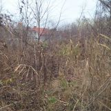 Działka rolno-budowlana Warszawa Wawer, ul. Mirtowa. Zdjęcie 1