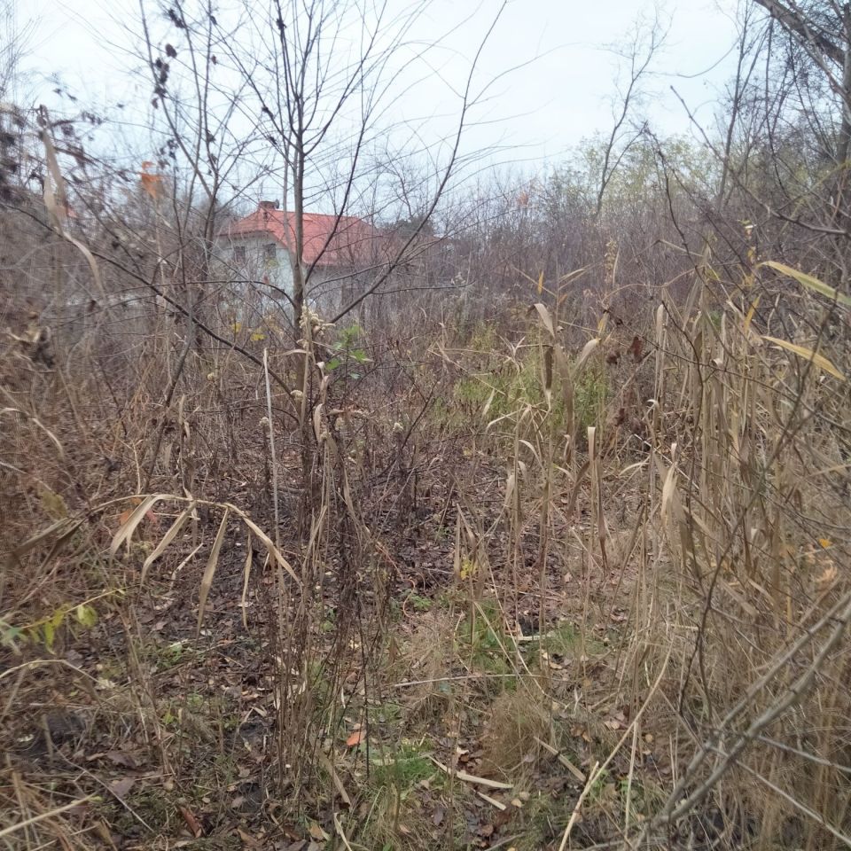 Działka rolno-budowlana Warszawa Wawer, ul. Mirtowa. Zdjęcie 2