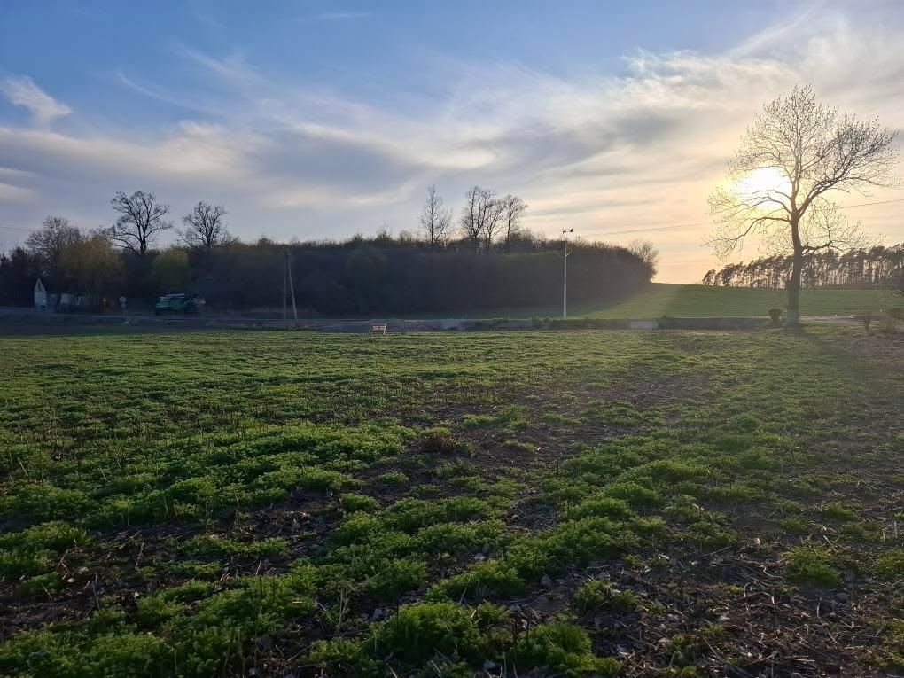 Działka budowlana Pawłowo. Zdjęcie 6