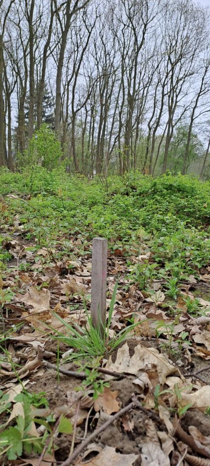 Działka budowlana Jantar, ul. Południowa. Zdjęcie 5