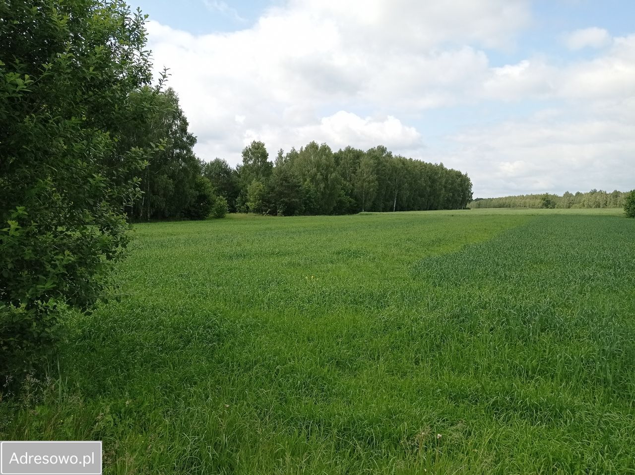 Działka rolno-budowlana Sobolew-Kolonia