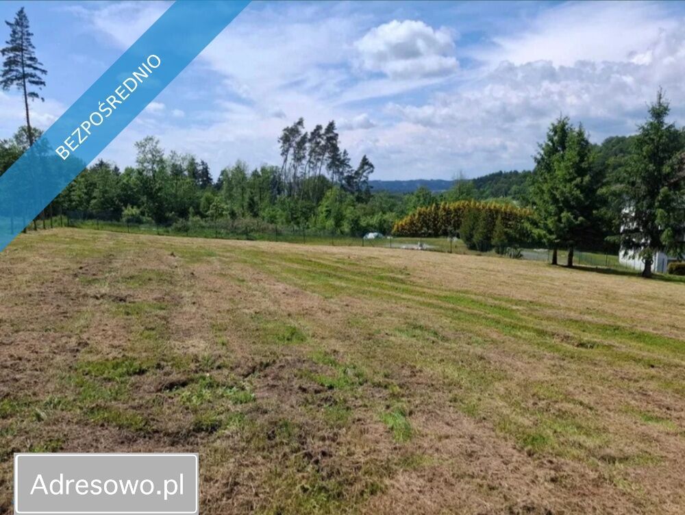 Działka inwestycyjna Kudowa-Zdrój. Zdjęcie 6