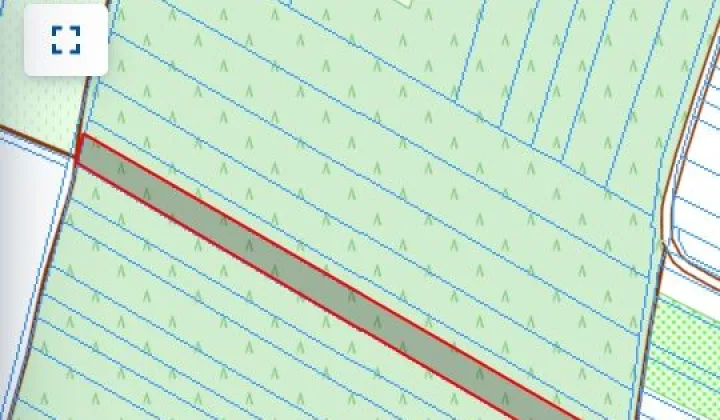 Działka leśna Ratoszyn Drugi