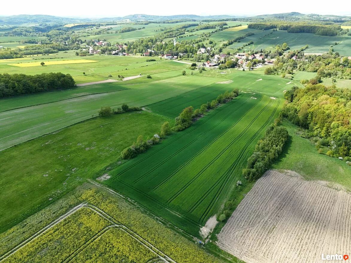 Działka rolna Pomocne. Zdjęcie 4
