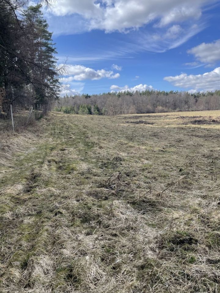 Działka budowlana Kabikiejmy Dolne. Zdjęcie 6